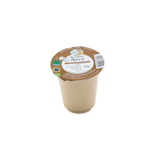 Joghurt Mocca Bio 350g